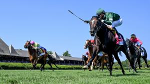 Why Pace Makes the Race When Betting the 2026 Fourstardave Stakes